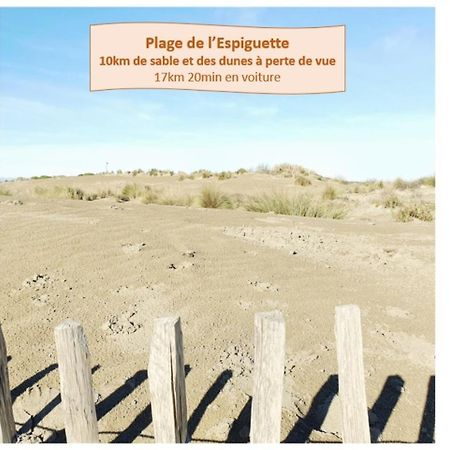 Suite Thalassa 1Ere Ligne Plages Du Couchant Wifi - Rossiconciergerie - Linge Inclus La Grande Motte Exterior foto