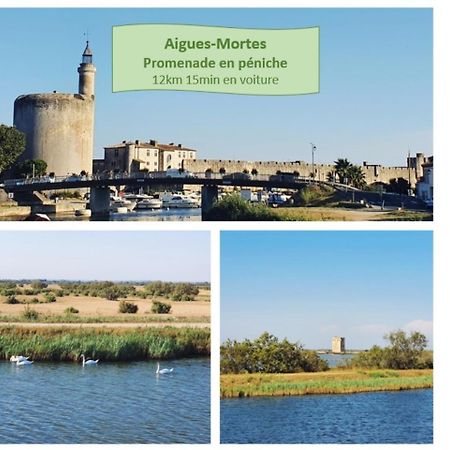 Suite Thalassa 1Ere Ligne Plages Du Couchant Wifi - Rossiconciergerie - Linge Inclus La Grande Motte Exterior foto