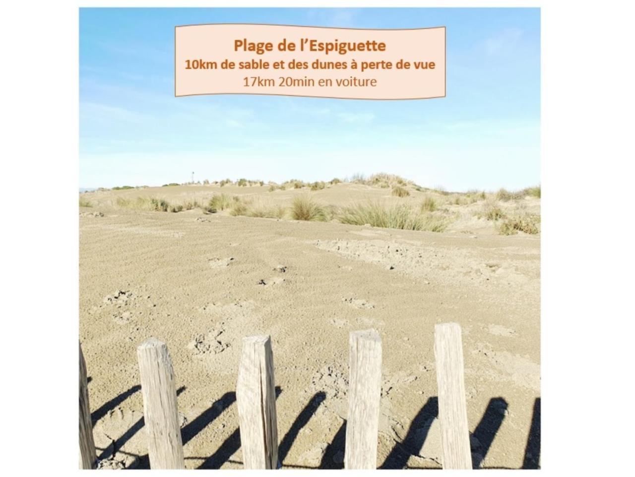 Suite Thalassa 1Ere Ligne Plages Du Couchant Wifi - Rossiconciergerie - Linge Inclus La Grande Motte Exterior foto